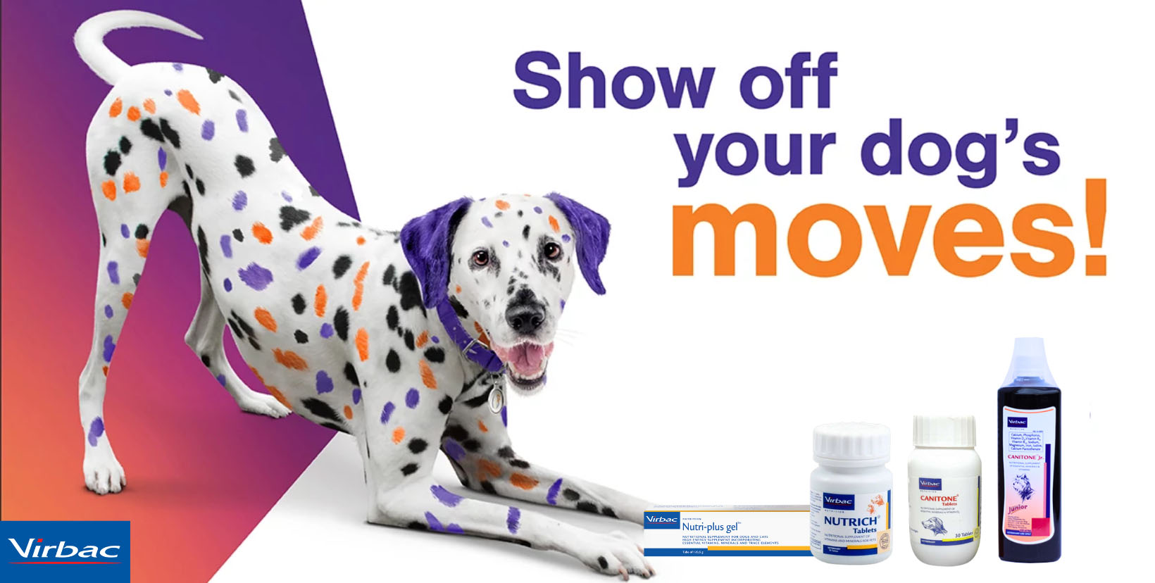 Vitamins for dogs to increase appetite philippines online